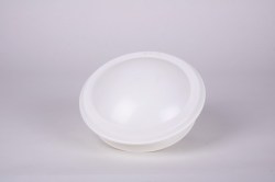 388f02c6